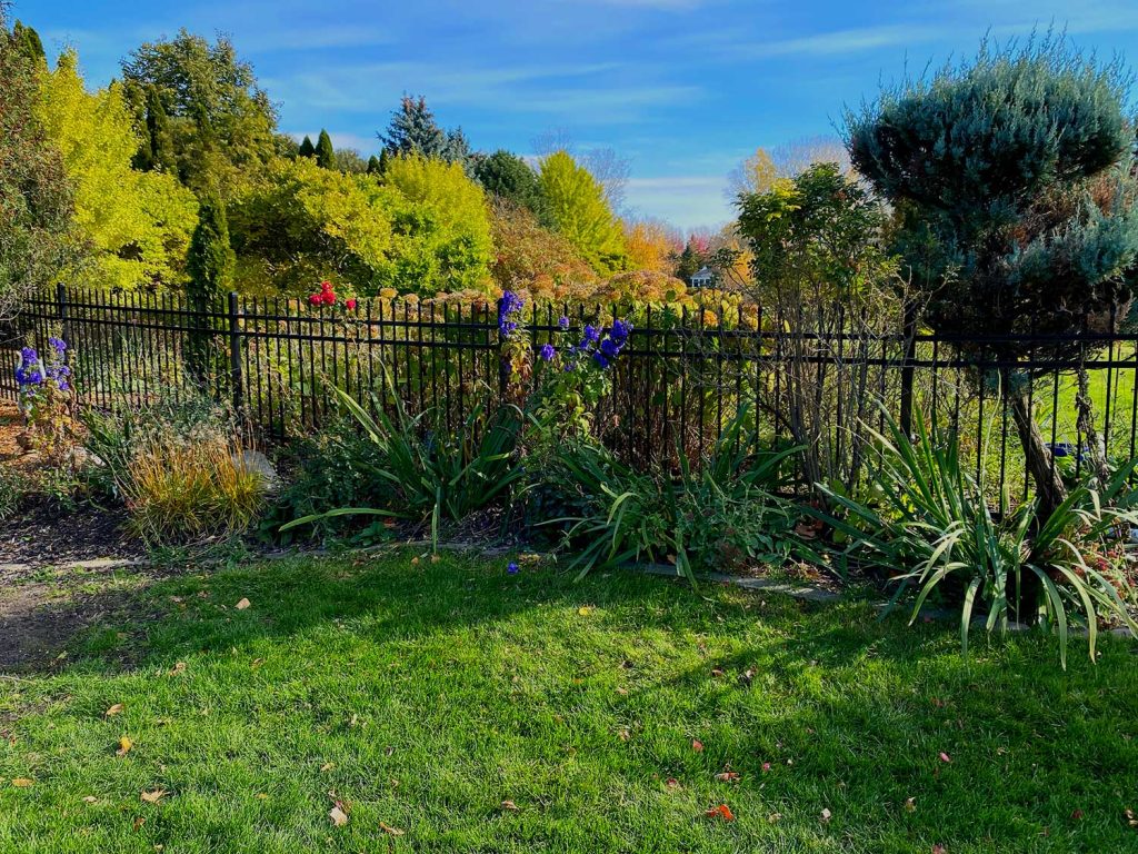 Iron Ornamental Fence Installation Twin Cities MN